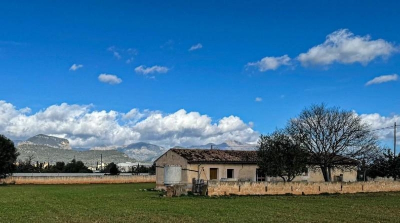 Balearic Islands - Binisalem - 6307m2