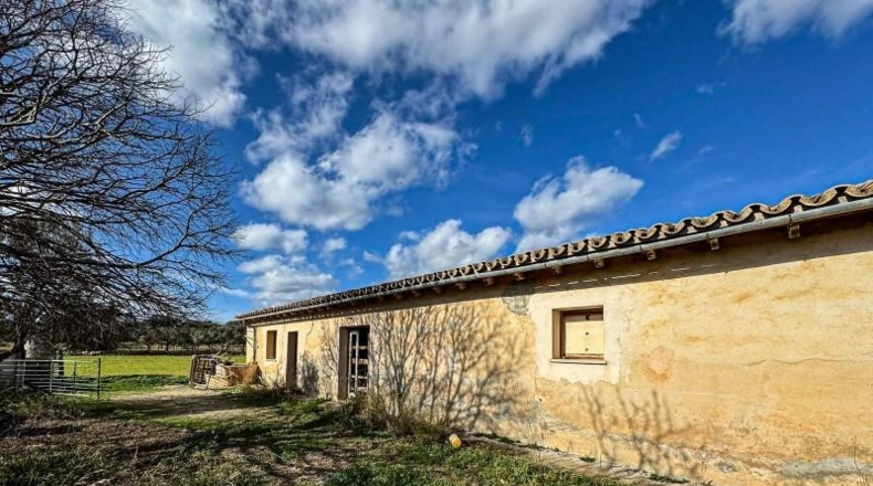Balearic Islands - Binisalem - 6307m2
