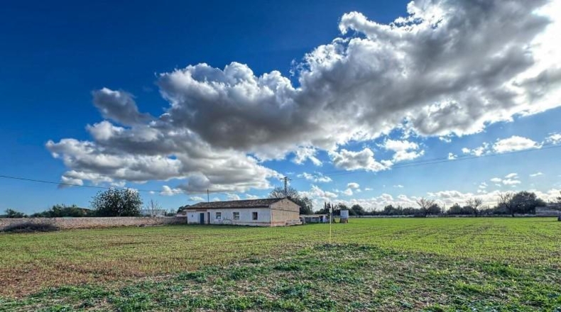 Balearic Islands - Binisalem - 6307m2