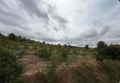 Casa de campo con terreno en venta en la España, Alfarp, ref: TR335948 foto