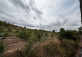 Casa de campo con terreno en venta en la España, Alfarp, ref: TR335948 foto