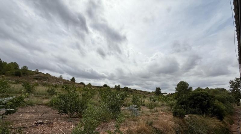 La Rioja - Alfaro - 10289m2