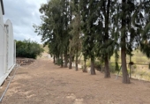 Casa de campo con terreno en venta en la España, Alfarp, ref: TR335948 foto