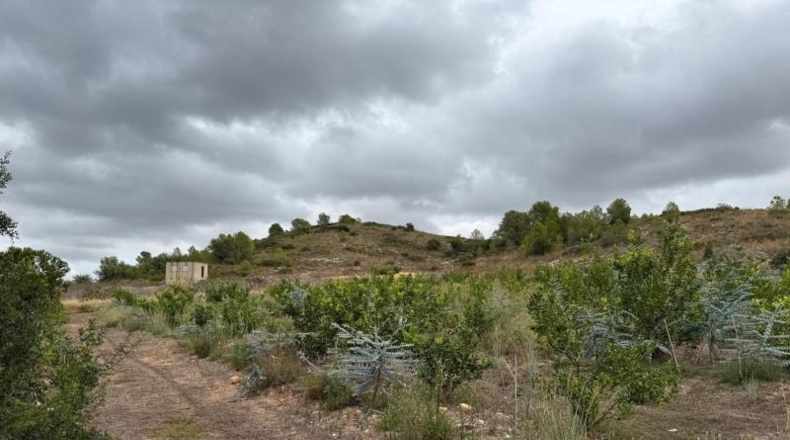 La Rioja - Alfaro - 10289m2