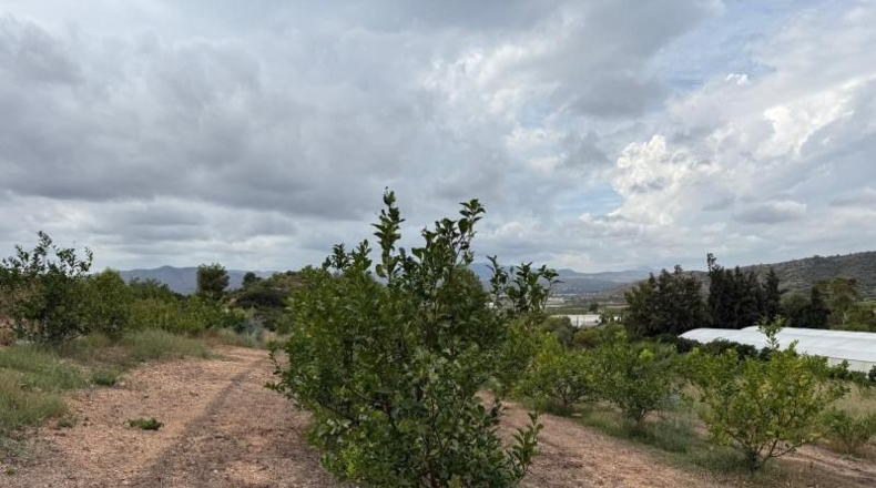 La Rioja - Alfaro - 10289m2