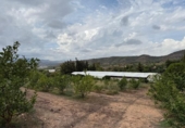 Casa de campo con terreno en venta en la España, Alfarp, ref: TR335948 foto