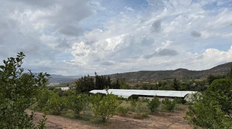 La Rioja - Alfaro - 10289m2