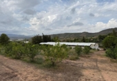 Casa de campo con terreno en venta en la España, Alfarp, ref: TR335948 foto