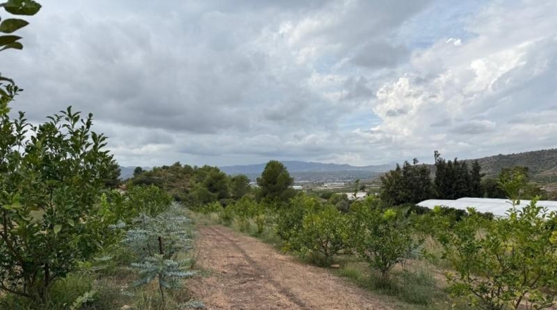 La Rioja - Alfaro - 10289m2