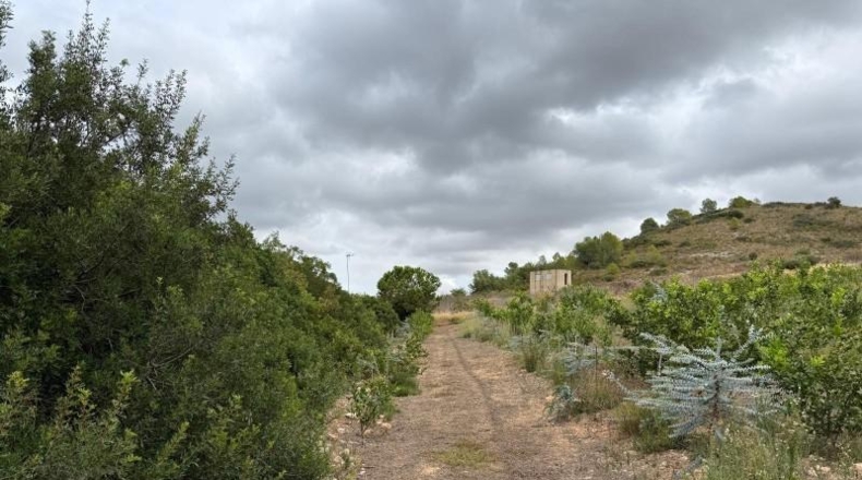 La Rioja - Alfaro - 10289m2