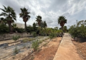 Casa de campo con terreno en venta en la España, Alfarp, ref: TR335948 foto