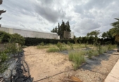 Casa de campo con terreno en venta en la España, Alfarp, ref: TR335948 foto