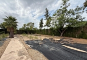 Casa de campo con terreno en venta en la España, Alfarp, ref: TR335948 foto