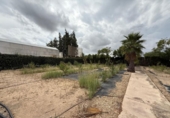 Casa de campo con terreno en venta en la España, Alfarp, ref: TR335948 foto