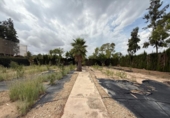 Casa de campo con terreno en venta en la España, Alfarp, ref: TR335948 foto