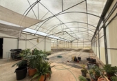 Casa de campo con terreno en venta en la España, Alfarp, ref: TR335948 foto