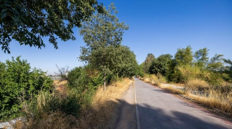 Granada - Granada - 21000m2