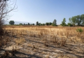 Terreno no urbanizable en venta en la España, Granada, ref: TR313325 foto