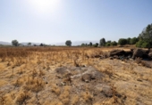 Terreno no urbanizable en venta en la España, Granada, ref: TR313325 foto