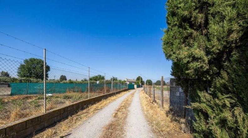 Granada - Granada - 21000m2