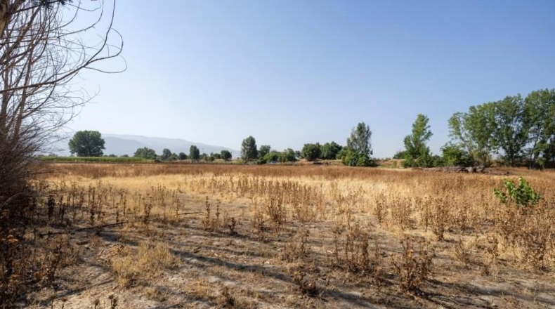 Гранада - Granada - 21000m2