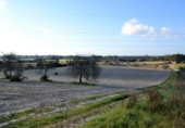 Chalet independiente con terreno en venta en la España, Llubí, ref: TR409725 foto