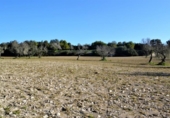 Chalet independiente con terreno en venta en la España, Llubí, ref: TR409725 foto