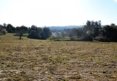 Chalet independiente con terreno en venta en la España, Llubí, ref: TR409725 foto