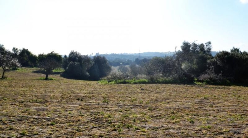 Islas Baleares - Llubí - 25665m2