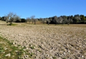 Chalet independiente con terreno en venta en la España, Llubí, ref: TR409725 foto