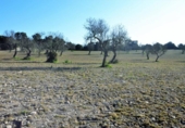 Chalet independiente con terreno en venta en la España, Llubí, ref: TR409725 foto