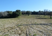 Chalet independiente con terreno en venta en la España, Llubí, ref: TR409725 foto