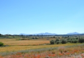 Detached villa with land for sale on España, Muro, ref: TR244939 photo