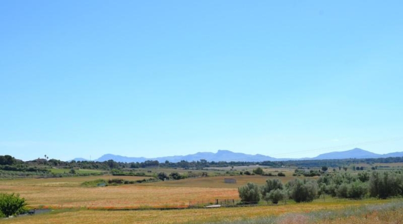 Balearic Islands - Muro - 14100m2