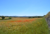 Detached villa with land for sale on España, Muro, ref: TR244939 photo
