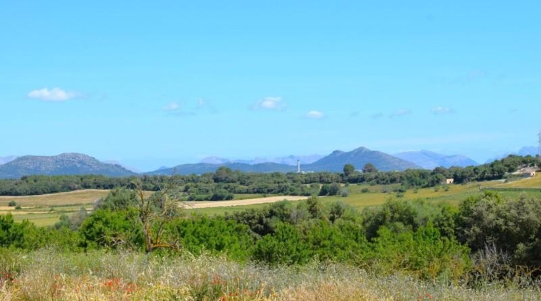 Balearic Islands - Muro - 14100m2