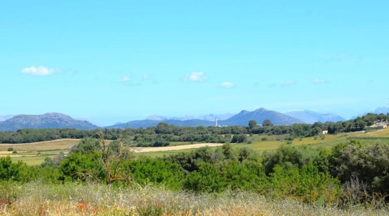 Balearic Islands - Muro - 14100m2