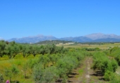 Detached villa with land for sale on España, Muro, ref: TR244939 photo