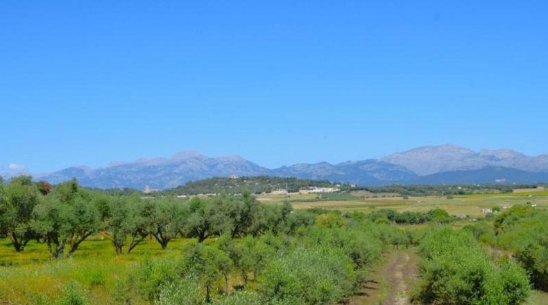 Balearic Islands - Muro - 14100m2