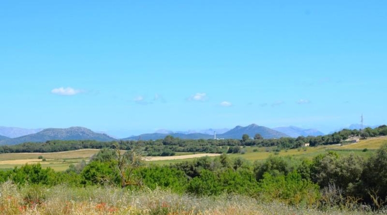 Balearic Islands - Muro - 14100m2