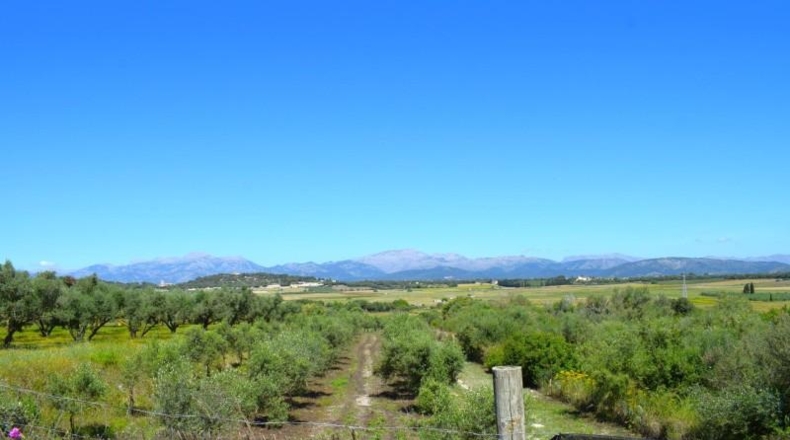 Balearic Islands - Muro - 14100m2