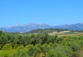 Detached villa with land for sale on España, Muro, ref: TR244939 photo
