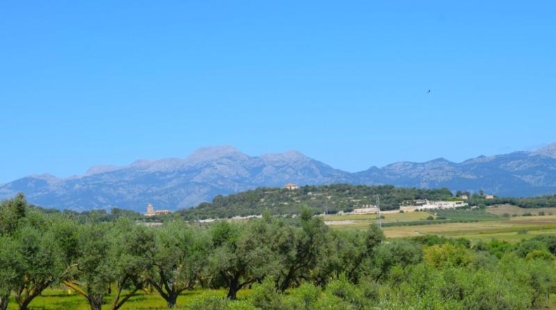 Balearic Islands - Muro - 14100m2