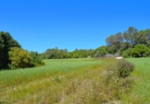 Detached villa with land for sale on España, Muro, ref: TR244939 photo