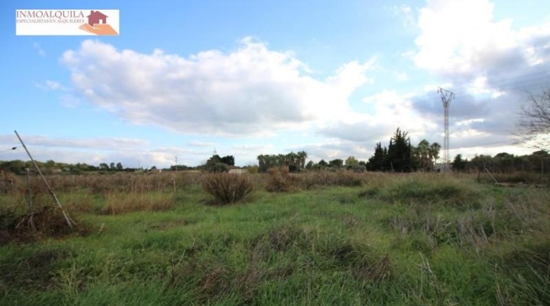 Islas Baleares - Muro - 14700m2