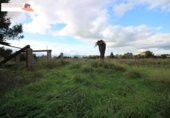 Chalet independiente con terreno en venta en la España, Muro, ref: TR134954 foto