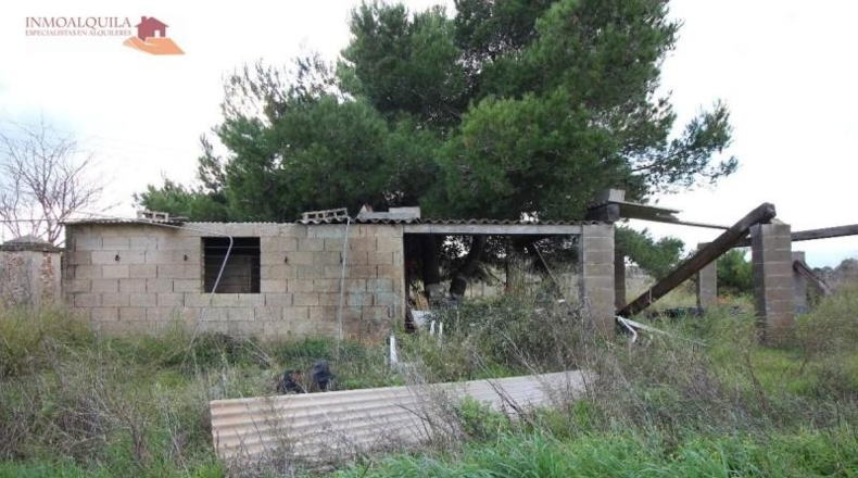 Islas Baleares - Muro - 14700m2