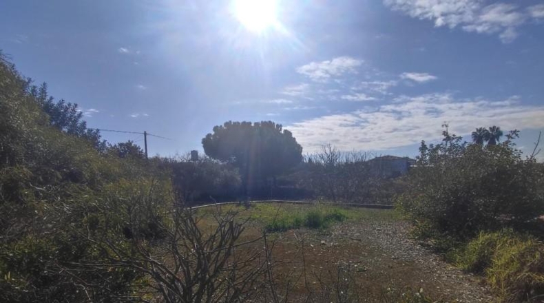 Córdoba - Puente Genil - 4500m2