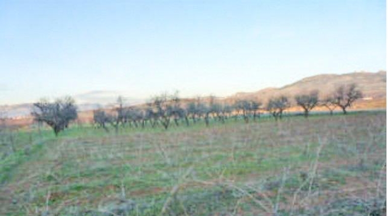 Granada - Dílar - 88664m2