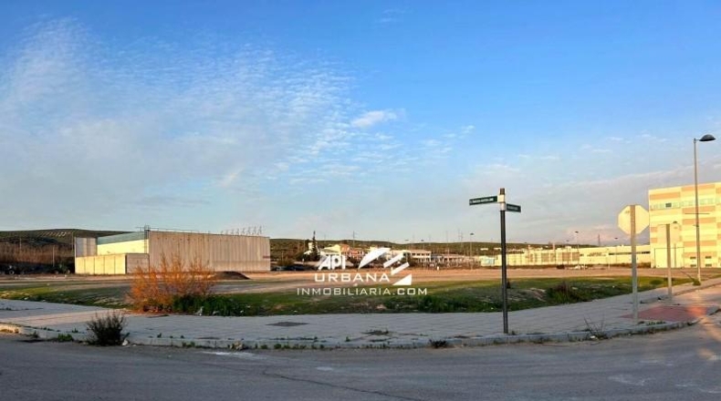 Córdoba - Lucena - 1141m2